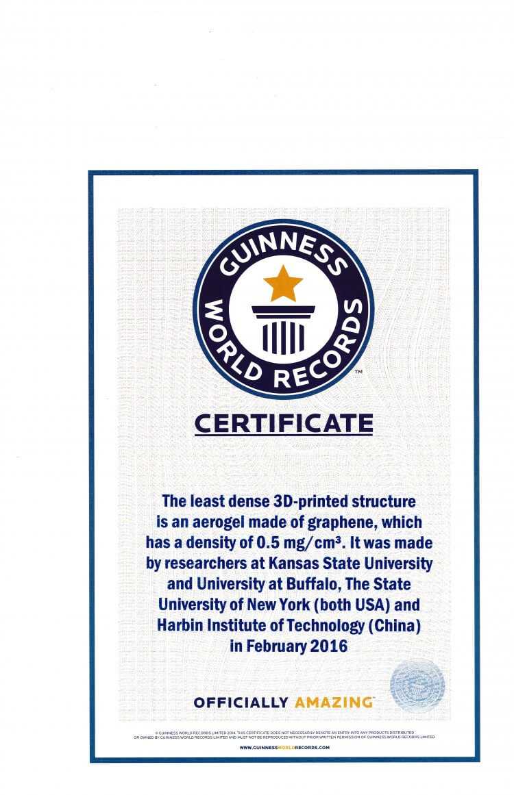 Guinness World Record Certificate Template - Zimer.bwong.co Intended For Guinness World Record Certificate Template