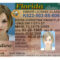 Here's A Sample Of A Fake Florida Id Card That's Solda intended for Florida Id Card Template