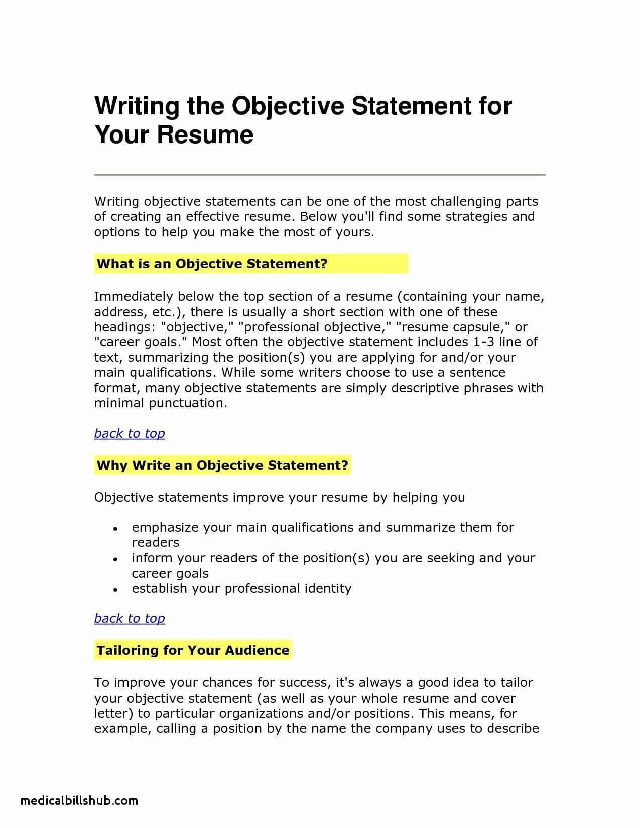 How To Write A Statement Letter Elegant Resume Statement For Ssae 16 Report Template