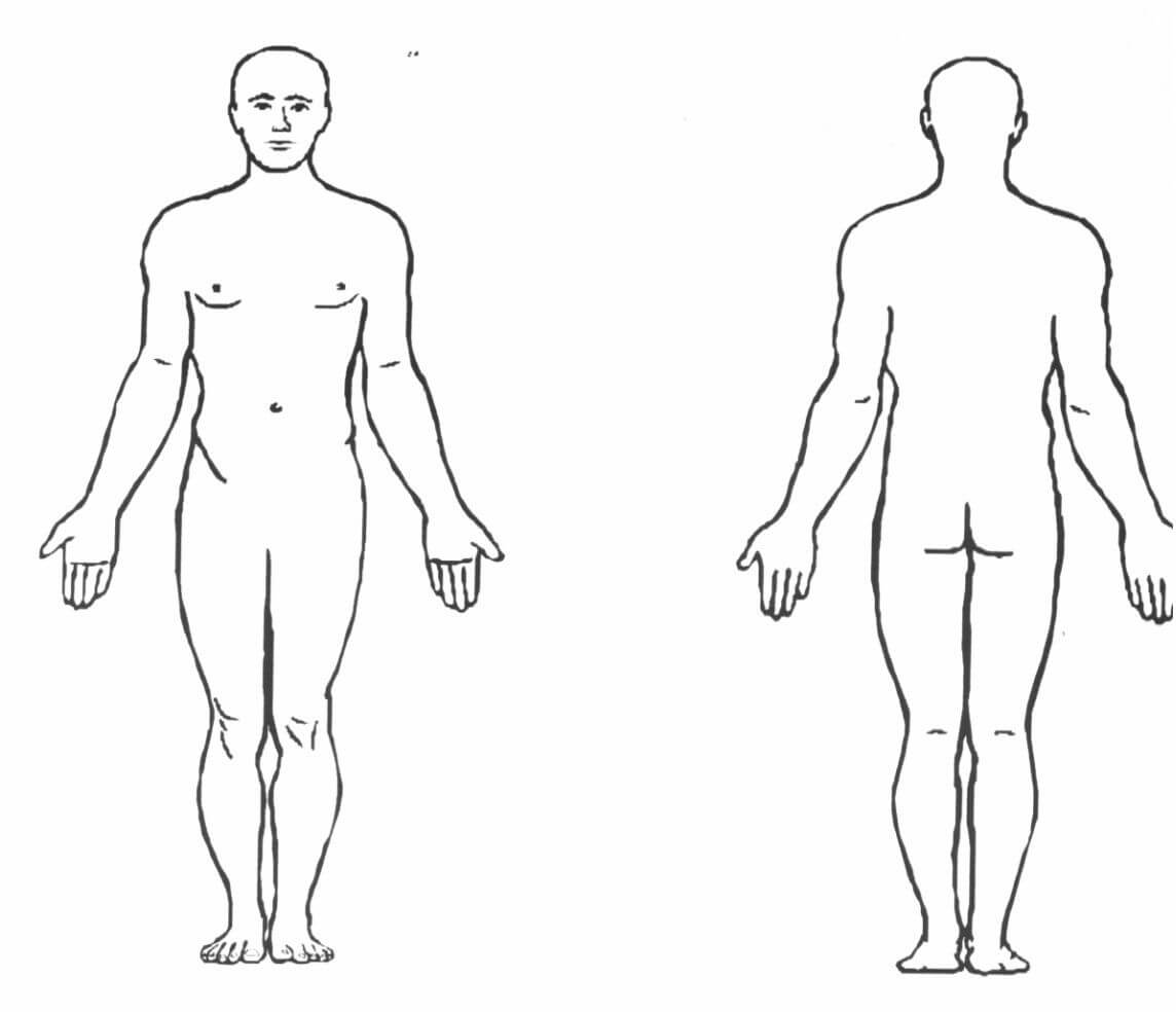 Human Anatomy & Physiology Final Exam Review @ Shs | Body With Blank Body Map Template