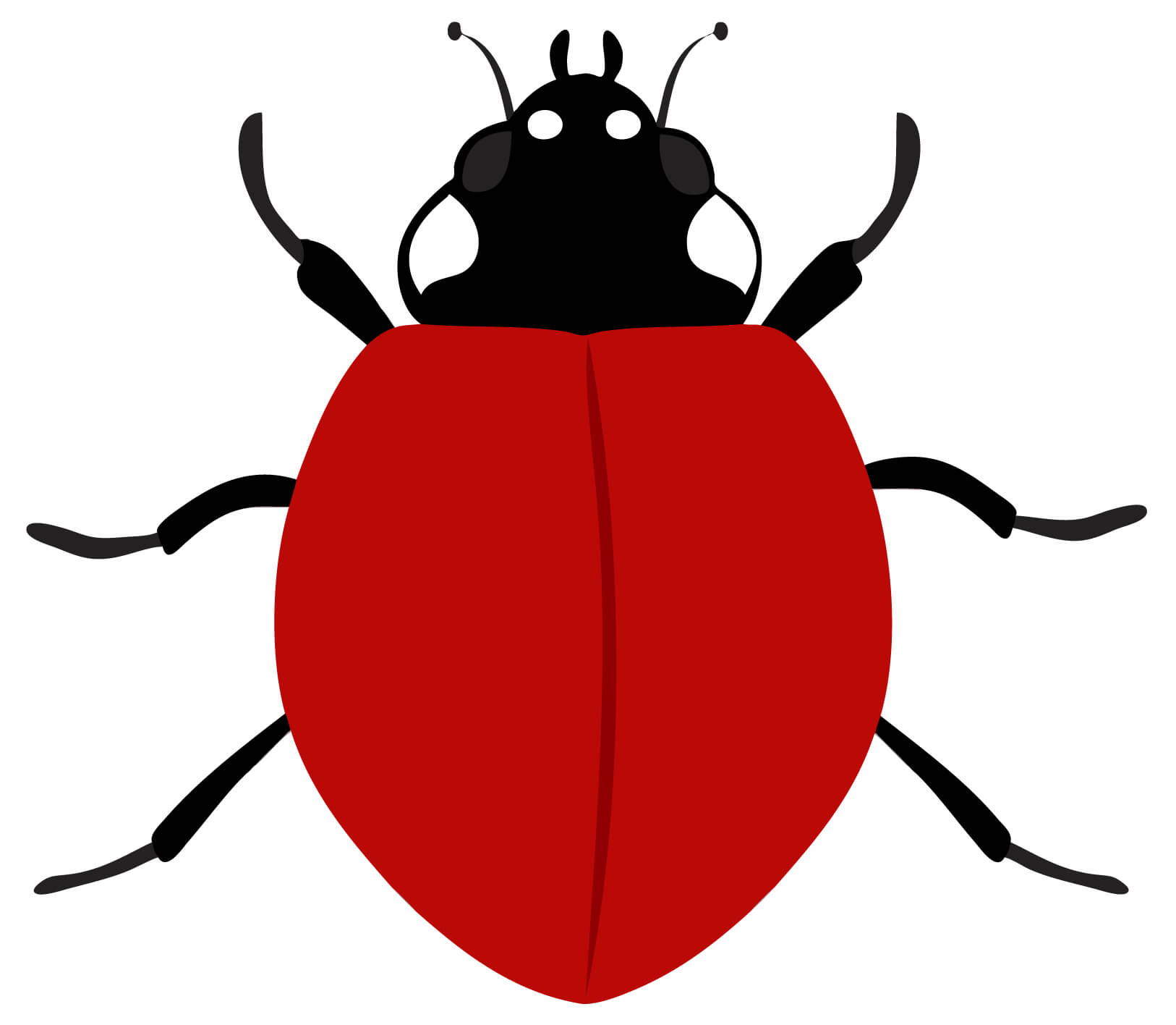 Ladybird Template. Ladybird Powerpoint Template Backgrounds In Blank Ladybug Template