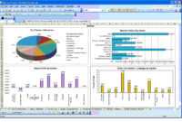 Management Report Strategies Like The Pros | Excel Dashboard intended for Sale Report Template Excel