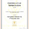 Minister License Certificate Template – Carlynstudio With Free Ordination Certificate Template