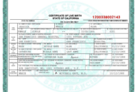 Novelty Birth Certificate Template | Fake Birth Certificate throughout Novelty Birth Certificate Template