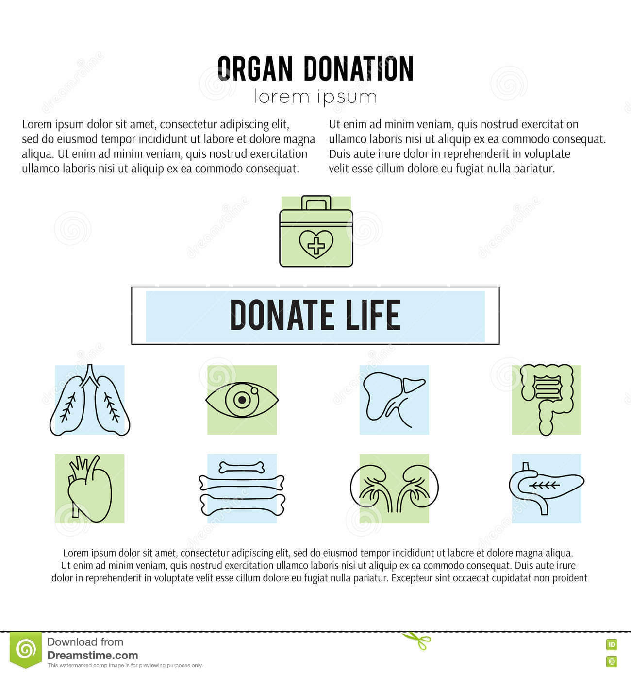 Organ Donation Template Stock Vector. Illustration Of Case With Regard To Organ Donor Card Template