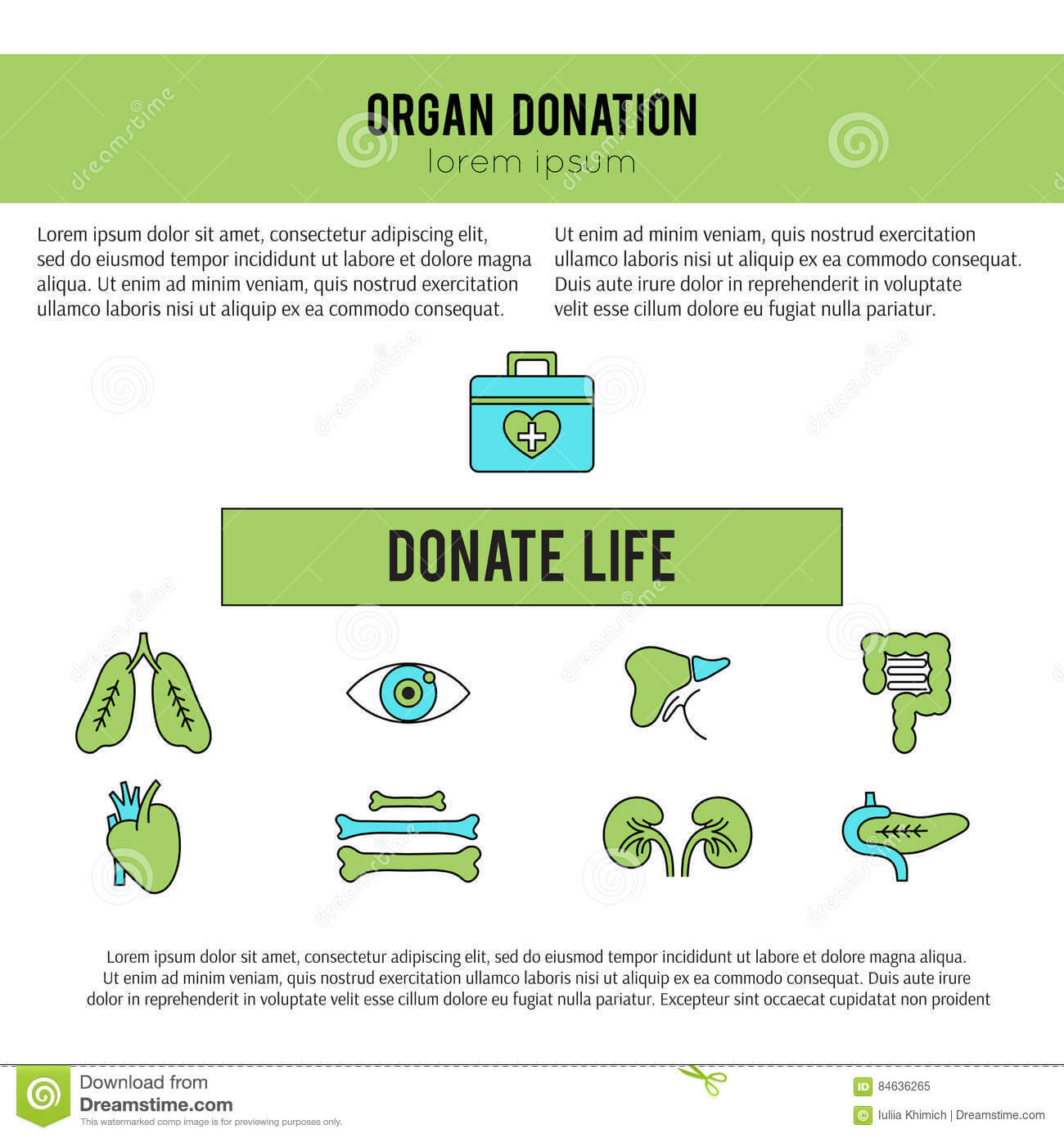 Organ Donation Template Stock Vector. Illustration Of Pertaining To Organ Donor Card Template