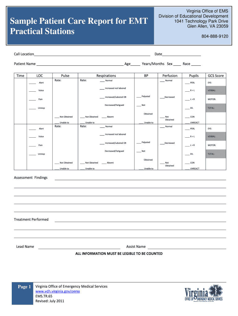 Patient Care Report – Fill Online, Printable, Fillable Regarding Patient Care Report Template