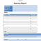 Performance Report Template Employee 4 Examples Excel Intended For Hse Report Template