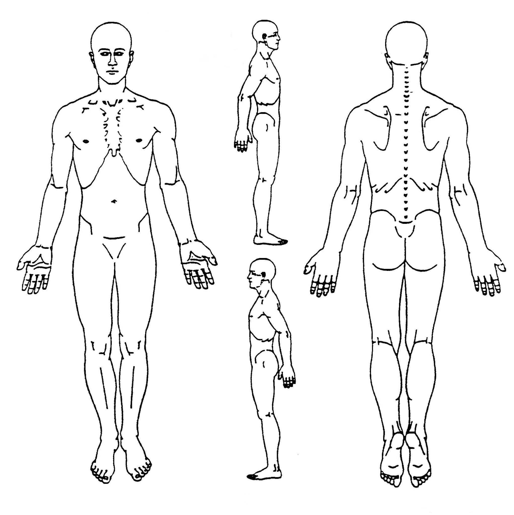 Pin On Body Diagram Regarding Blank Body Map Template Professional
