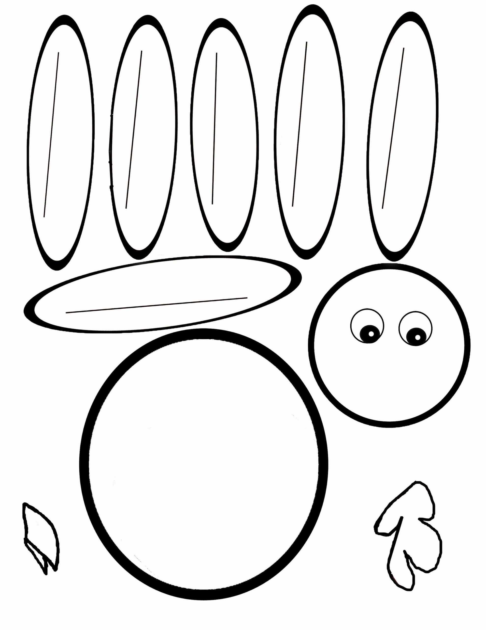 Pin On Pediatric Ot For Blank Turkey Template