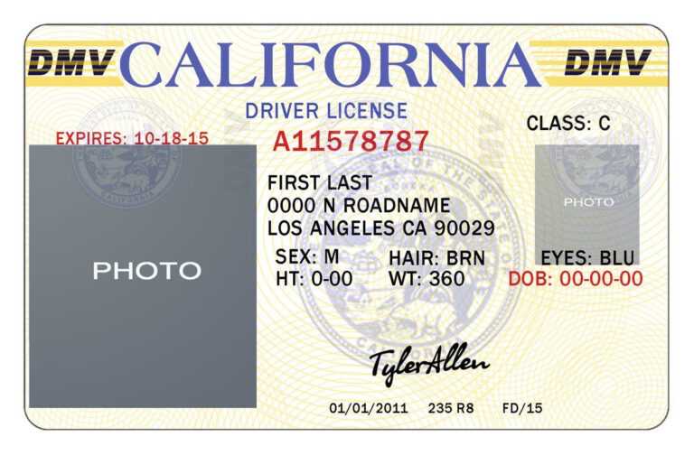 Blank Drivers License Template - Professional Template Examples