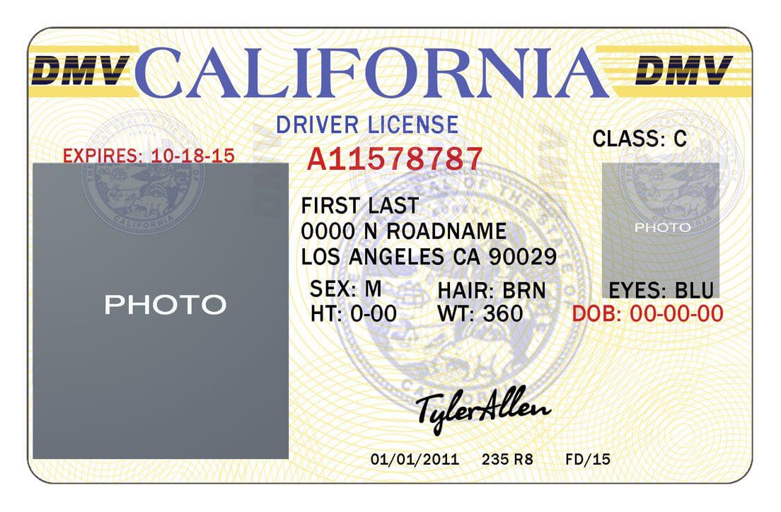 Pinamanda Lynn Spertell On Aaa | Drivers License Intended For Blank Drivers License Template