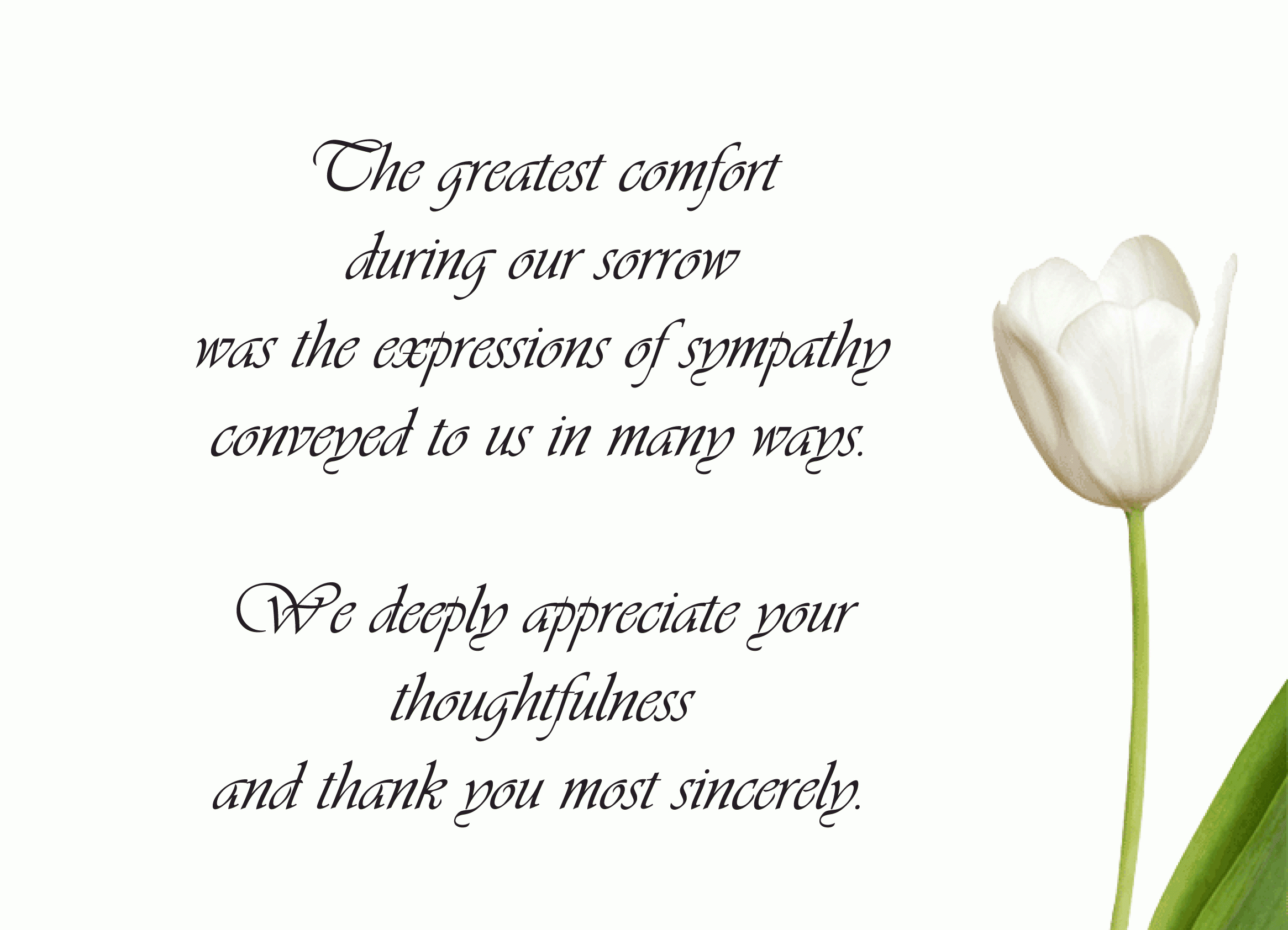 Pinkristine Wayman On Sympathy Thank Yous | Funeral In Sympathy Thank You Card Template