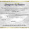 Pinselena Bing Perry On Certificates | Certificate Intended For Baptism Certificate Template Download