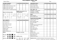 Preschool Progress Report Template | Report Card Template regarding Character Report Card Template