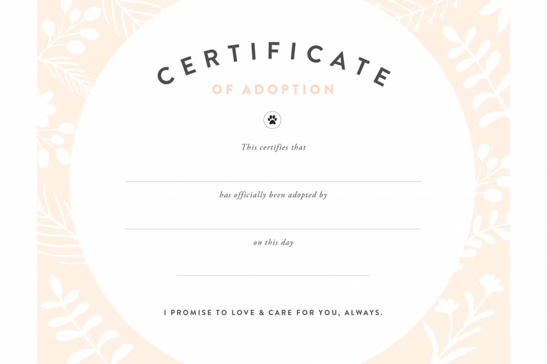 Pretty Fluffy In Toy Adoption Certificate Template
