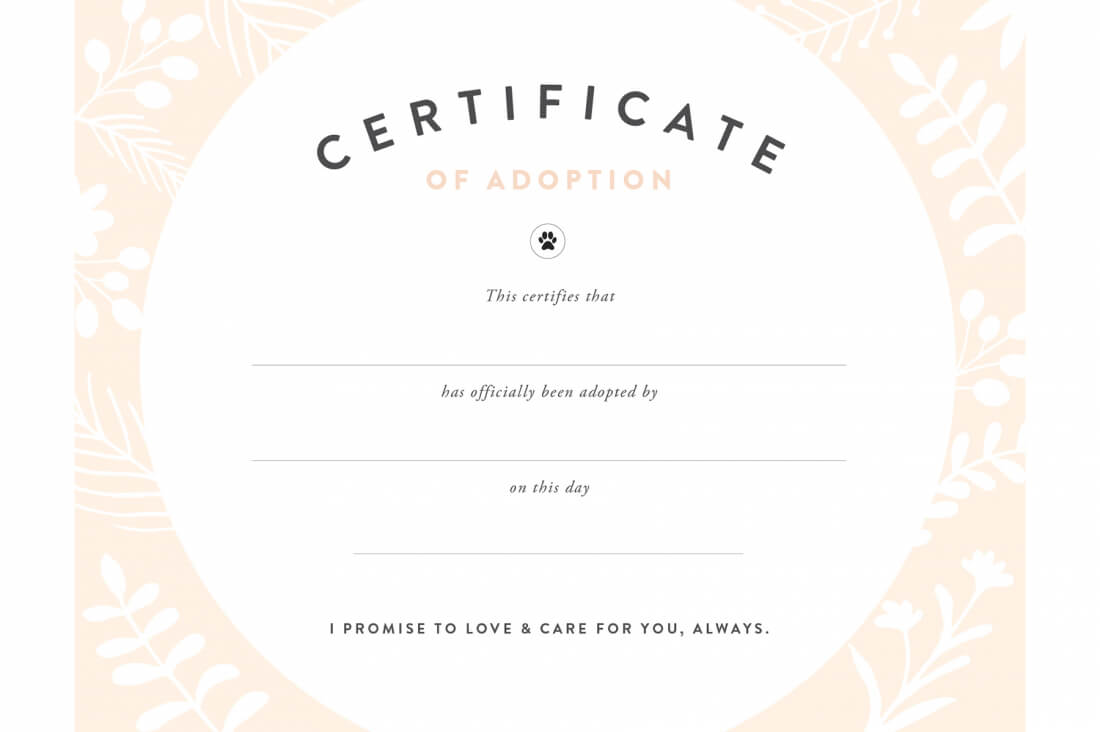 Pretty Fluffy Pertaining To Blank Adoption Certificate Template