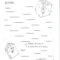 Printable Book Report Forms | Miss Murphy's 1St And 2Nd In Book Report Template 2Nd Grade