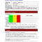 Project Daily Status Report Template Excel And Create Weekly Within Project Implementation Report Template