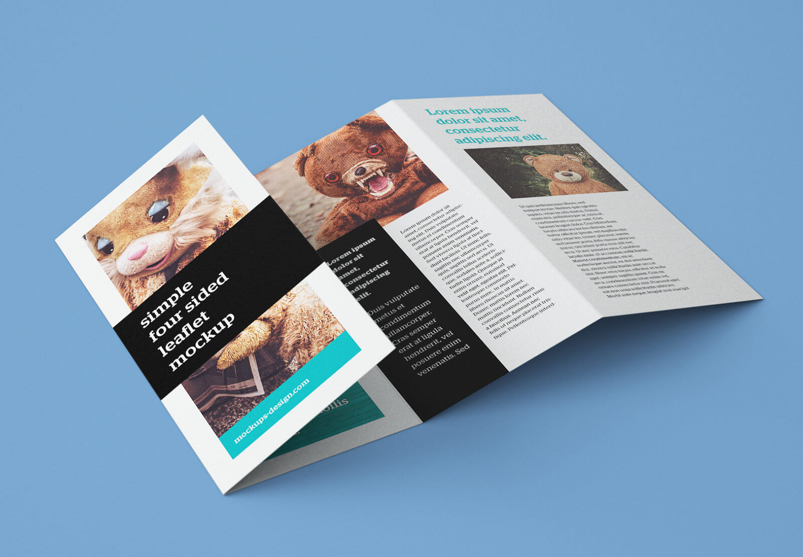 Quad Fold Brochure Template Free For 4 Fold Brochure Template Word