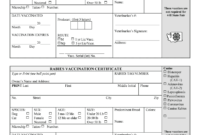 Rabies Certificate Template - Fill Online, Printable with regard to Rabies Vaccine Certificate Template