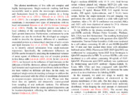 Sage - Sage Open Template intended for Academic Journal Template Word