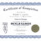 Sample Certificate Of Completion | Certificate Of Completion For Certificate Of Completion Word Template