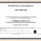 Sample Computer Course Completion Certificate Fres Beautiful Regarding Template For Training Certificate