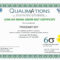 Six Sigma Black Belt Certificate Template – Carlynstudio In Green Belt Certificate Template