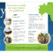 Travel Brochure Design | Favorite Q View Full Size | Travel Within Country Brochure Template