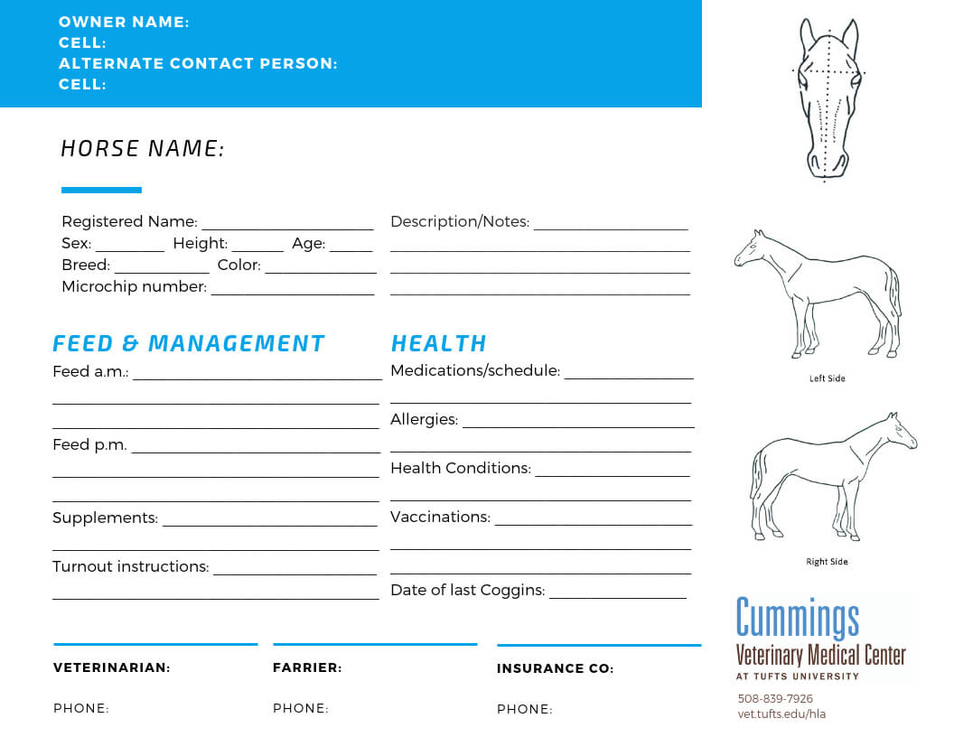 Travel Confidently – News Center At Cummings School Of Pertaining To Horse Stall Card Template