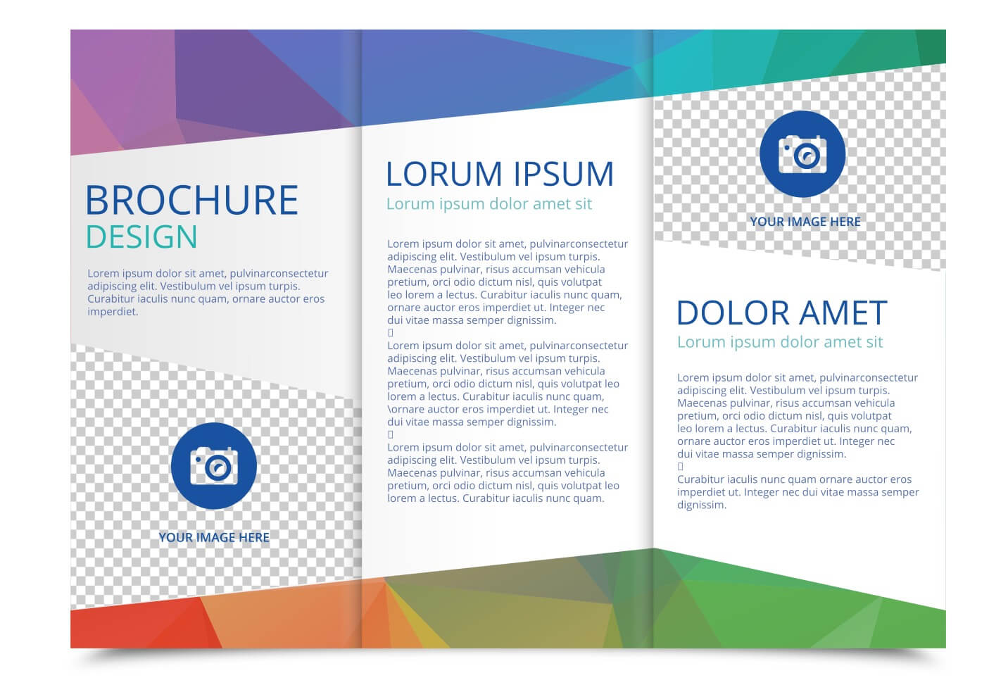 Tri Fold Brochure Vector Template – Download Free Vectors Pertaining To Tri Fold Brochure Template Indesign Free Download
