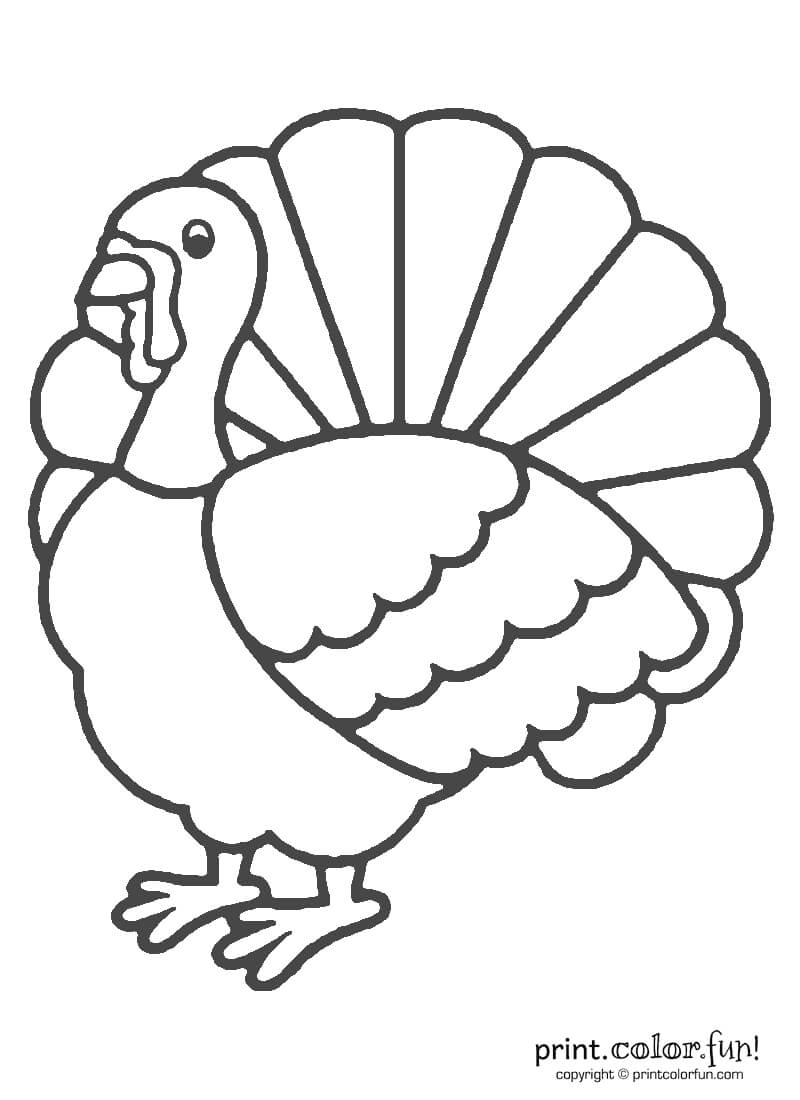 Turkey Clipart Template Intended For Blank Turkey Template