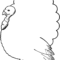 Turkey Outline Clipart Throughout Blank Turkey Template