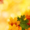 Yellow Autumn Backgrounds For Powerpoint – Nature Ppt Templates With Regard To Free Fall Powerpoint Templates