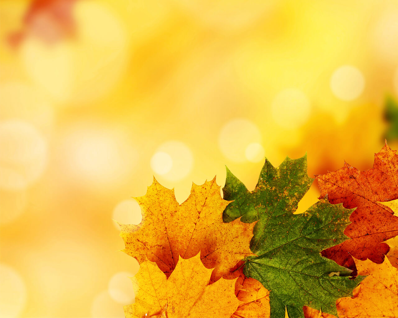 Yellow Autumn Backgrounds For Powerpoint – Nature Ppt Templates With Regard To Free Fall Powerpoint Templates
