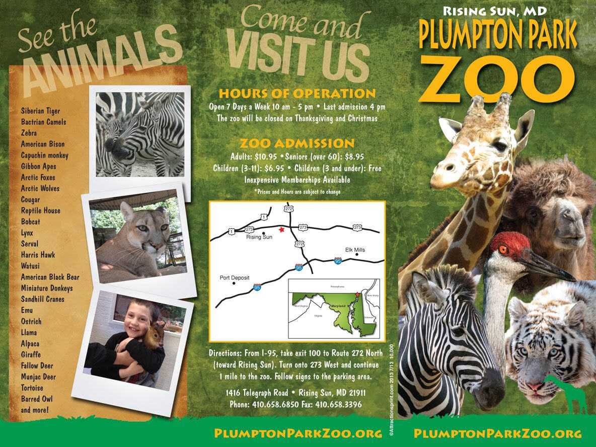 Zoo Brochure – Google Search | Zoo Tickets, Brochure Pertaining To Zoo Brochure Template